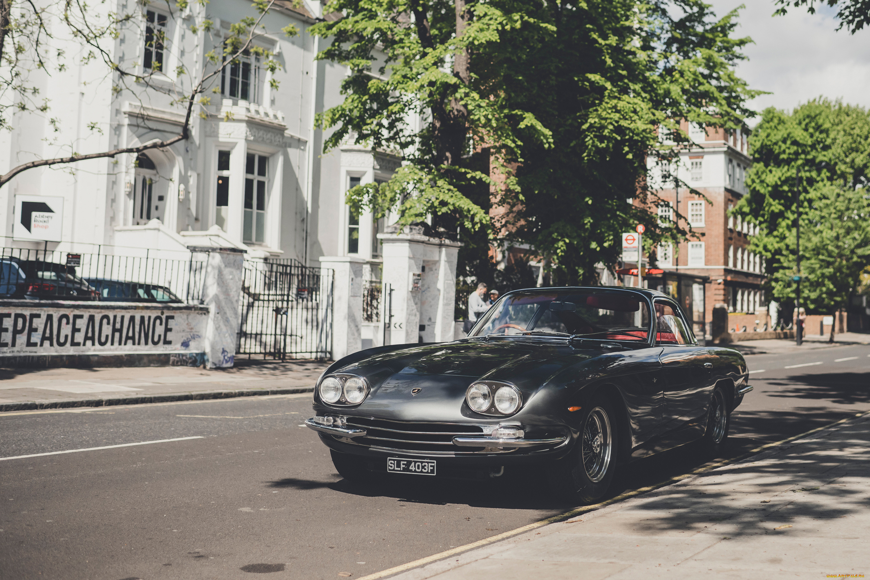 ����������, lamborghini